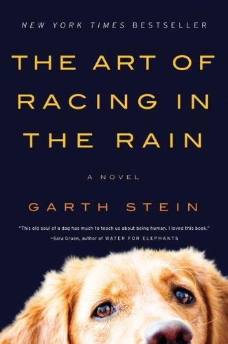 Garth Stein: The Art of Racing in the Rain (Paperback, 2009, Harper Paperbacks)