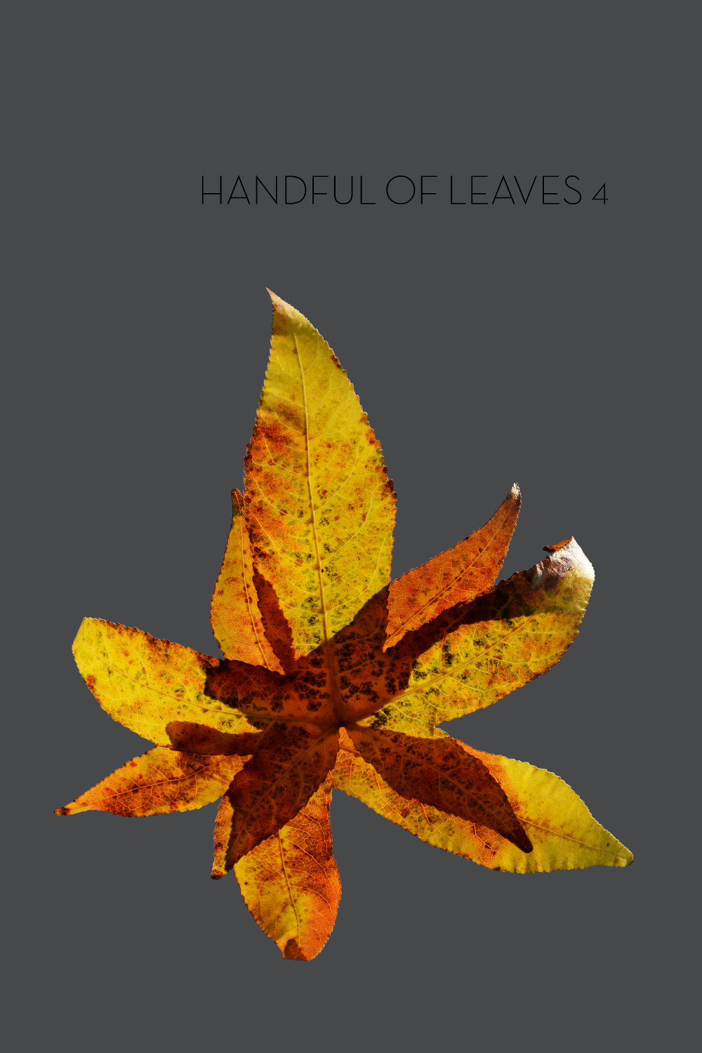 Thanissaro Bhikkhu: Handful of Leaves, Volume IV: an Anthology from the Aṅguttara Nikāya (2021, Metta Forest Monastery)