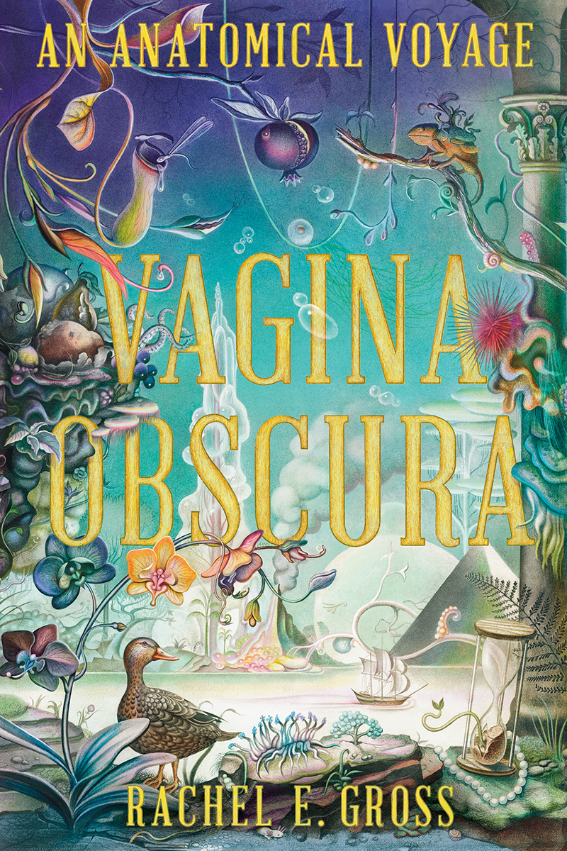 Rachel E. Gross: Vagina Obscura (Hardcover, 2022, W. W. Norton & Company)