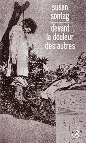 Susan Sontag: Devant la douleur des autres (Paperback, french language, BOURGOIS)