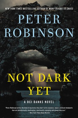 Not Dark Yet (2021, HarperCollins Publishers)