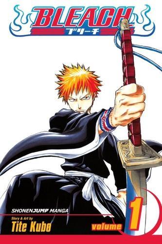 Bleach (2002)