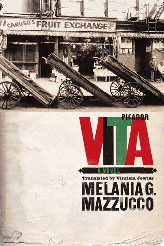 Vita (Paperback, 2006, Picador)