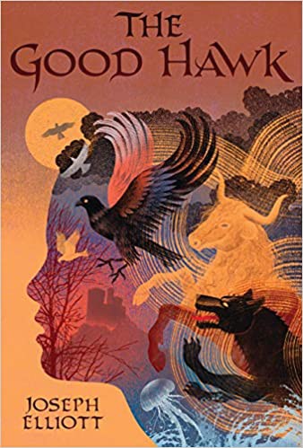 Good Hawk (2020, Candlewick Press)