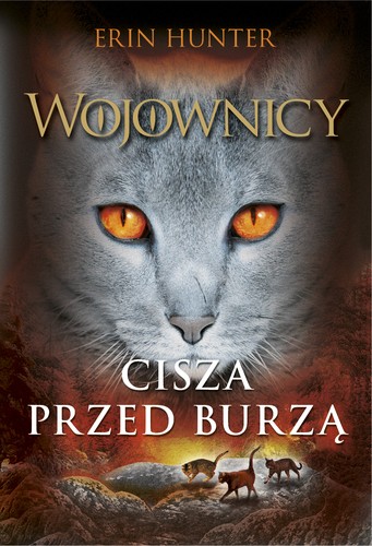 Cisza przed burzą (Paperback, Polish language, 2016, Nowa Baśń)