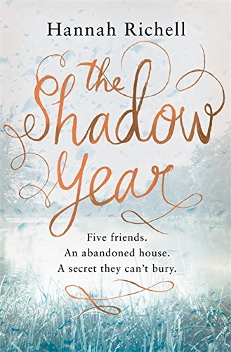 The Shadow Year (Paperback, Orion)