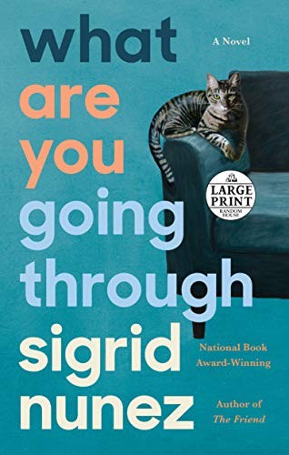 Sigrid Nunez: What Are You Going Through (Paperback, 2020, Random House Large Print)