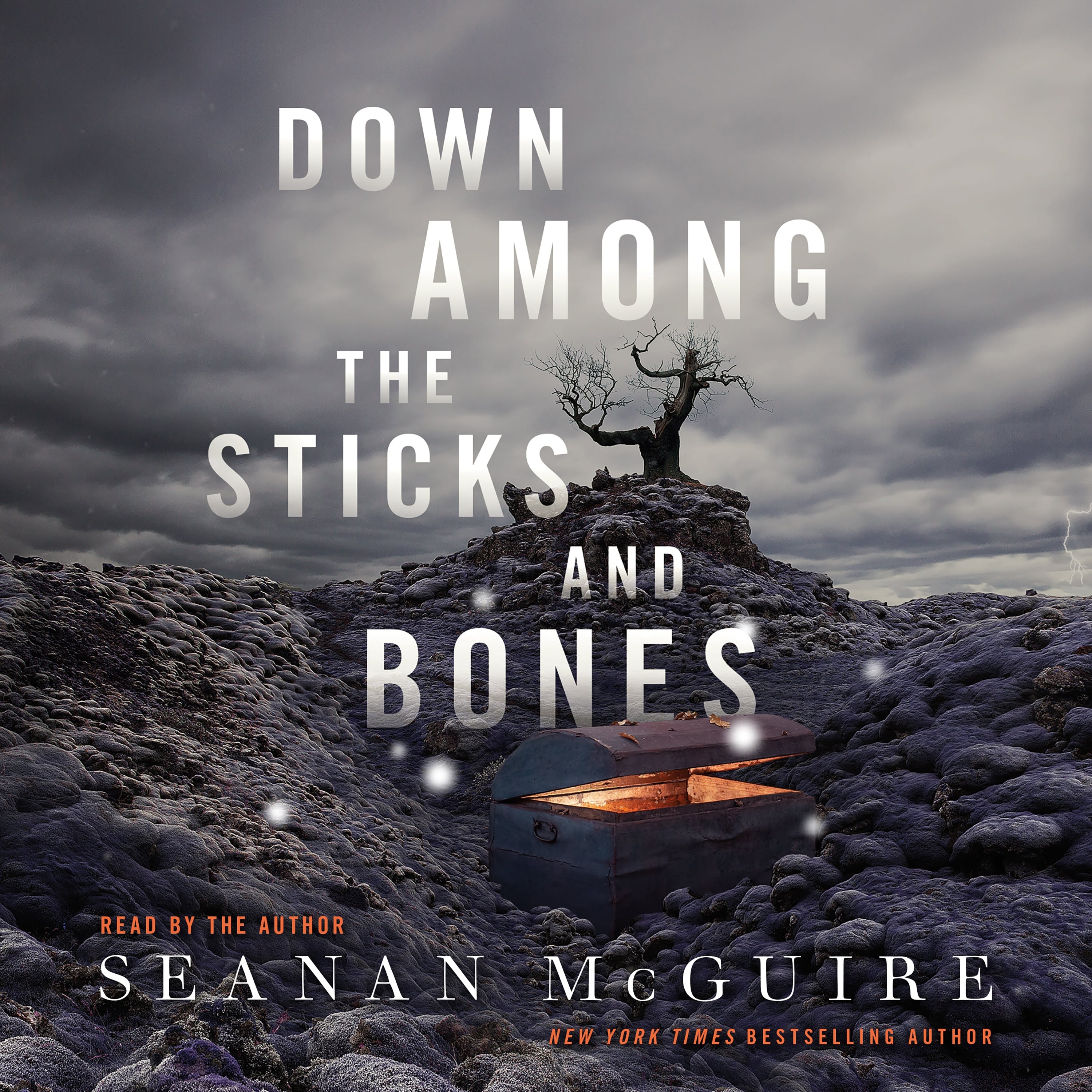 Down among the sticks and bones (AudiobookFormat)