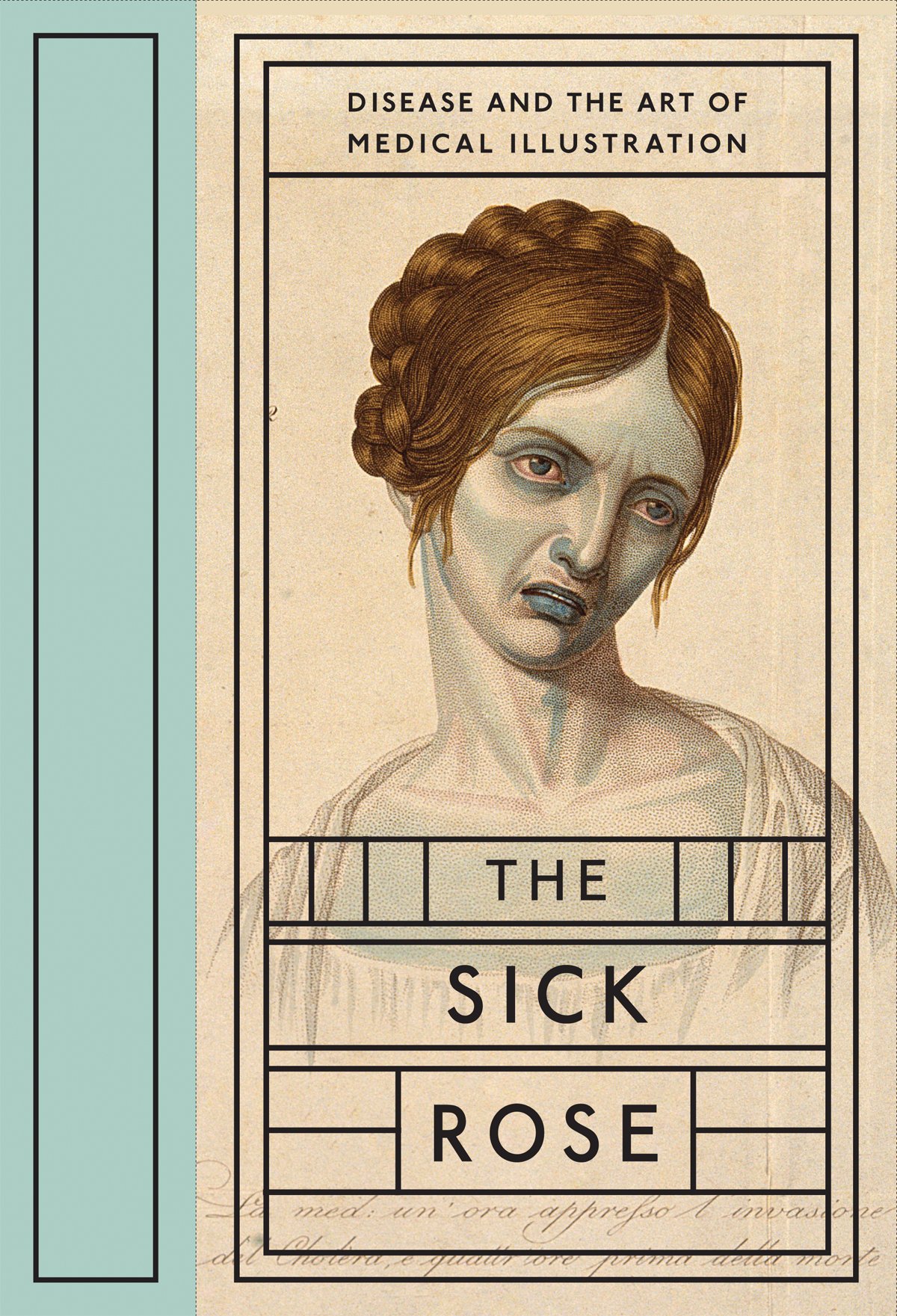 Richard Barnett: The Sick Rose (Hardcover, 2014, D.A.P.)