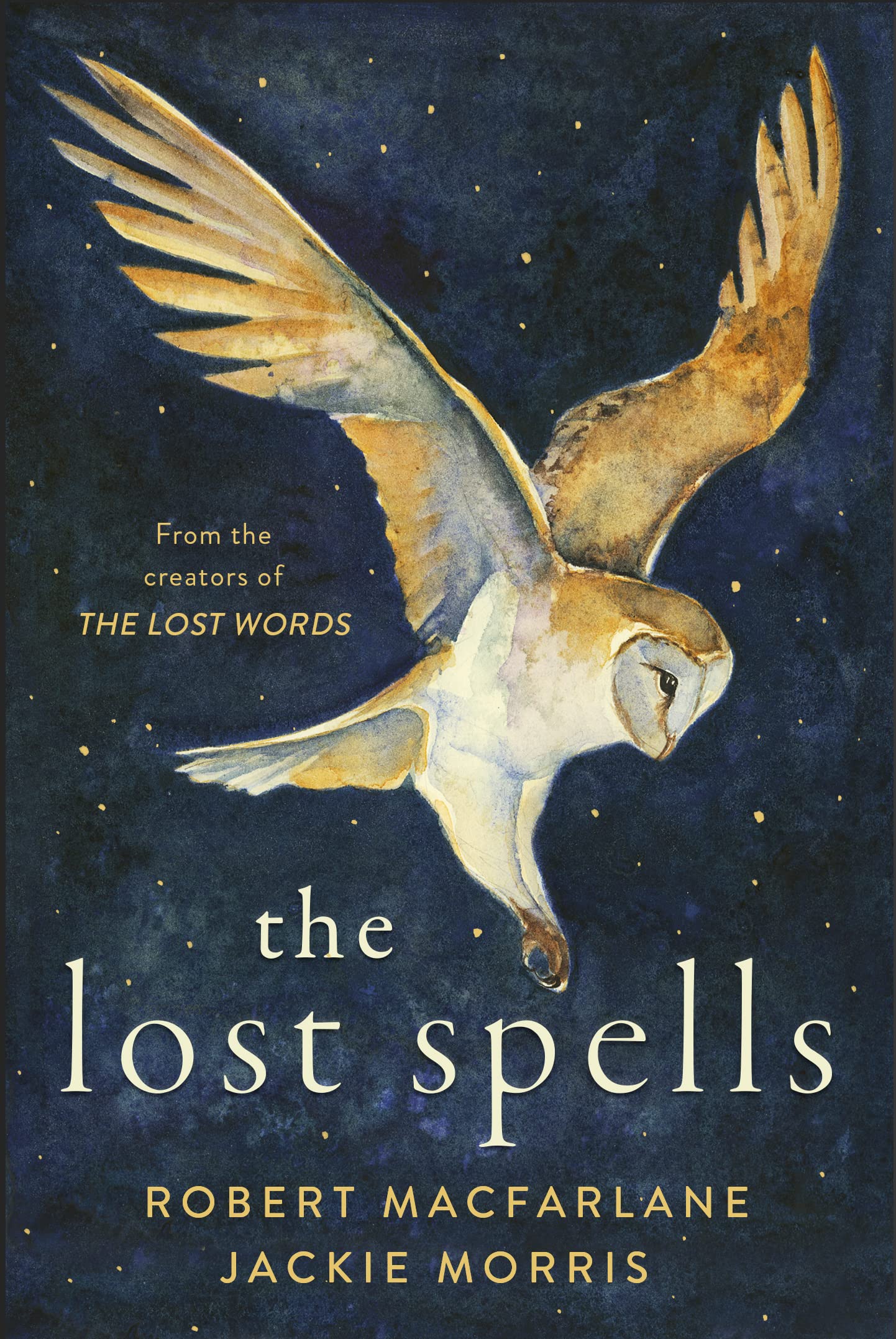 Jackie Morris, Robert MacFarlane: Lost Spells (Hardcover, 2020, House of Anansi Press)