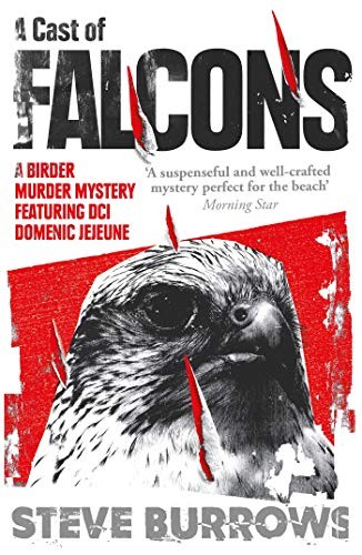 Steve Burrows: A Cast of Falcons (Paperback, 2018, Point Blank)