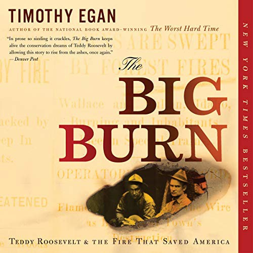 Robertson Dean, Timothy Egan: The Big Burn (AudiobookFormat, 2020, HMH Audio)