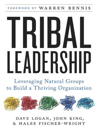 David Logan: Tribal Leadership (EBook, 2008, HarperCollins)