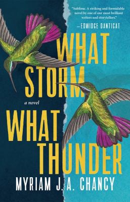 Myriam J. A. Chancy: What Storm, What Thunder (2021, Tin House Books, LLC)