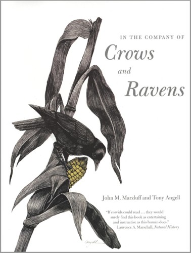 John M. Marzluff: In the company of crows and ravens (2005, Yale University Press)