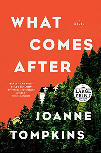 JoAnne Tompkins: What Comes After (Paperback, 2021, Random House Large Print)