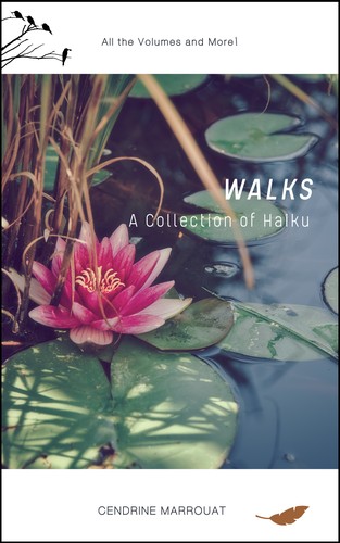 Walks: A Collection of Haiku (EBook, 2019, Independently Published)