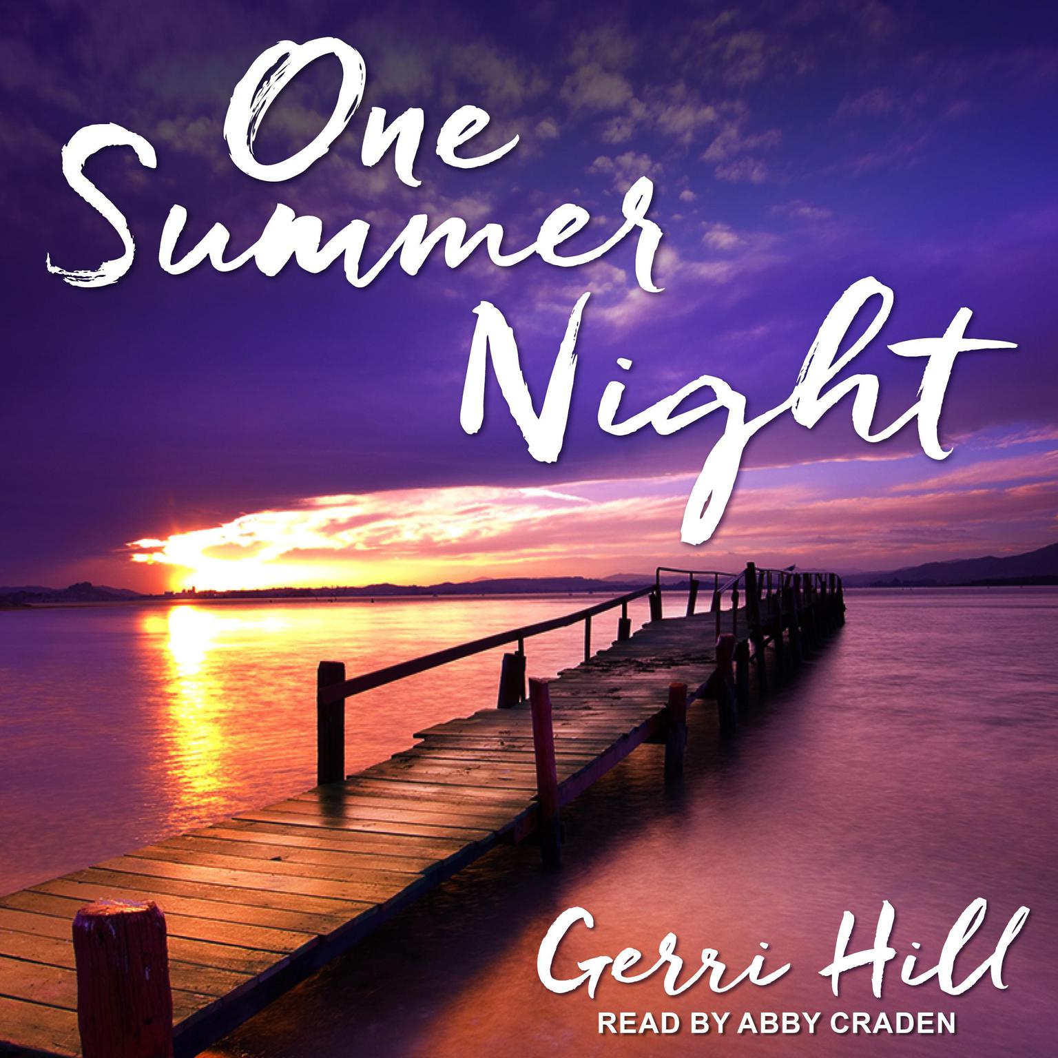 Gerri Hill: One Summer Night (Paperback, 2004, Bella Books)