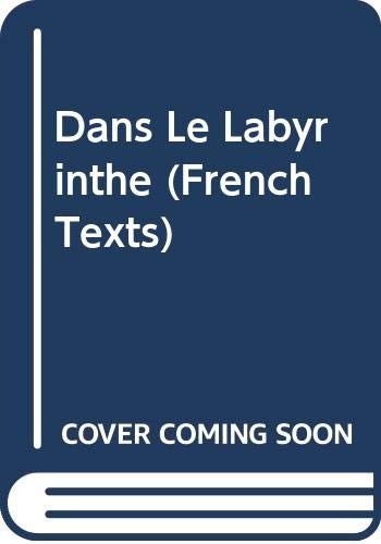 Dans le labyrinthe (French language, 1983, B. Blackwell, Blackwell Pub)