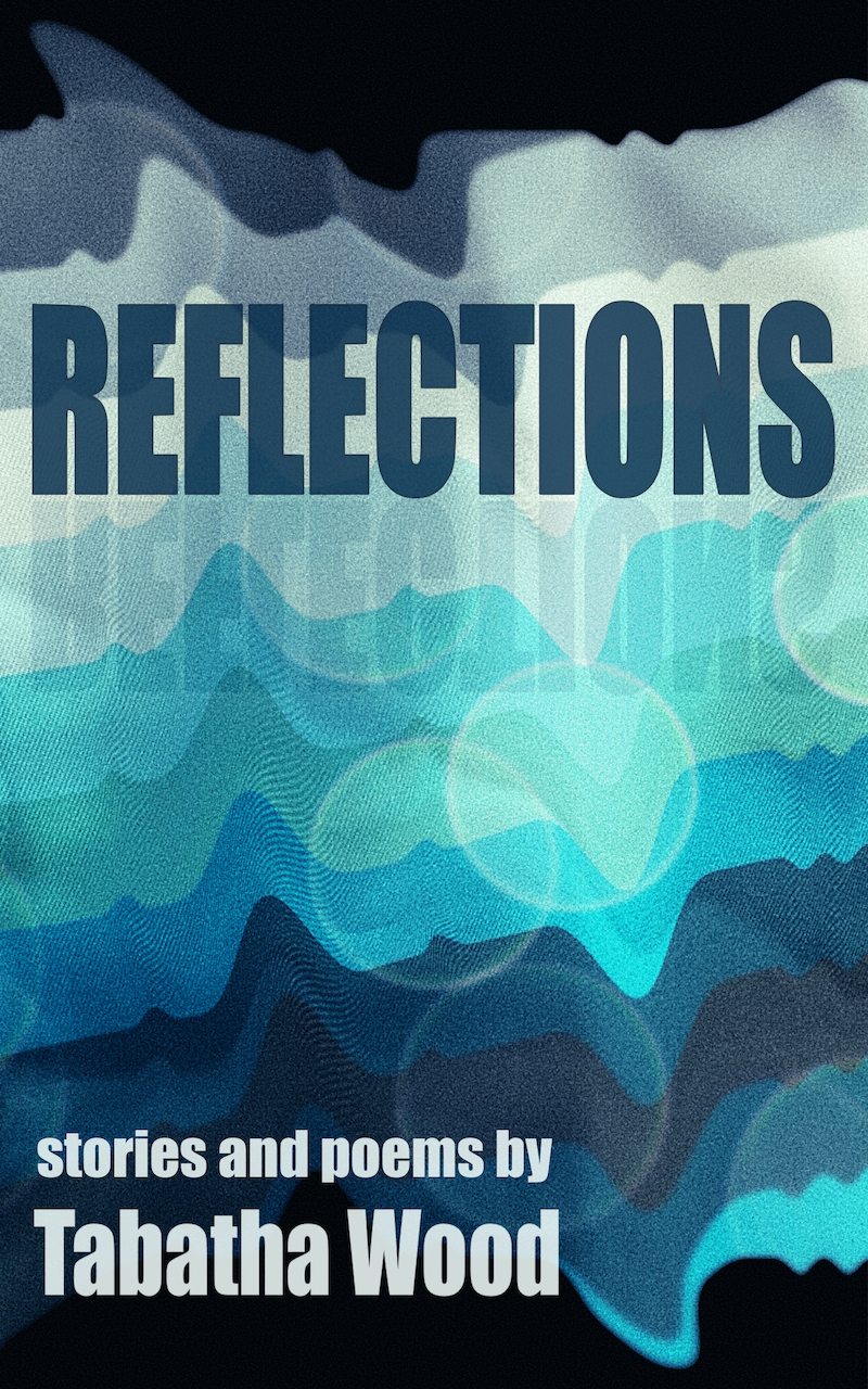 REFLECTIONS (Paperback, Wild Wood Books)