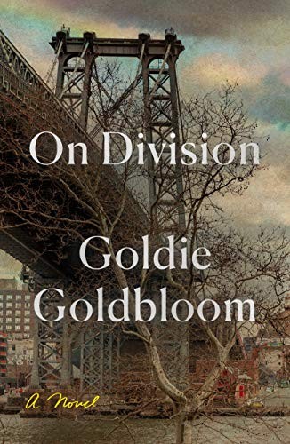 Goldie Goldbloom: On Division (Hardcover, 2019, Farrar, Straus and Giroux)