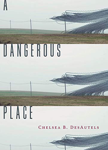 A Dangerous Place (Paperback, 2021, Sarabande Books)
