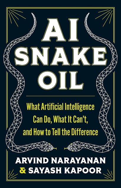 Arvind Narayanan, Sayash Kapoor: AI Snake Oil (EBook, 2024, Princeton University Press)