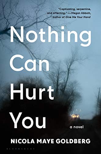 Nicola Maye Goldberg: Nothing Can Hurt You (Hardcover, 2020, Bloomsbury Publishing)