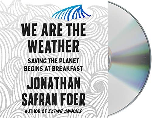 Jonathan Safran Foer: We Are the Weather (AudiobookFormat, 2019, Macmillan Audio)