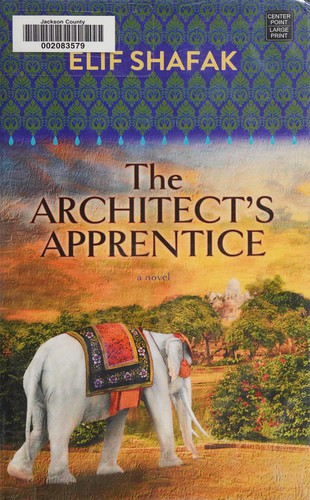 The architect's apprentice (2015, Center Point Large Print)