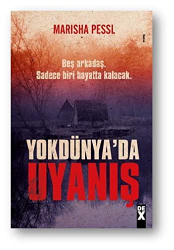 Marisha Pessl: Yokdünya'da Uyanış (Paperback, Turkish language, 2019, Dex Yayınevi)