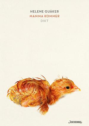 Helene Guåker: Mamma kommer (Hardcover, bokmål language, 2025, Aschehoug)