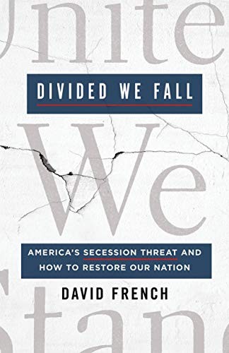 Divided We Fall (Hardcover, 2020, St. Martin's Press)