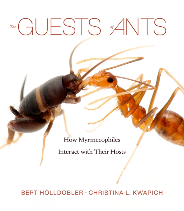 The Guests of Ants (Hardcover, Harvard University Press)