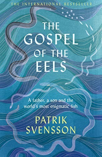 TheGospeloftheEels (Paperback)