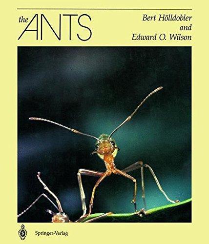 Edward O. Wilson, Bert Hölldobler: The Ants (German language, 1998)