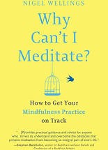 Nigel Wellings: Why can't I meditate? (2016)