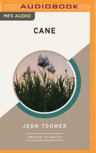 Cane (AudiobookFormat, 2019, Brilliance Audio)