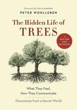 Peter Wohlleben: The Hidden Life of Trees (2016)