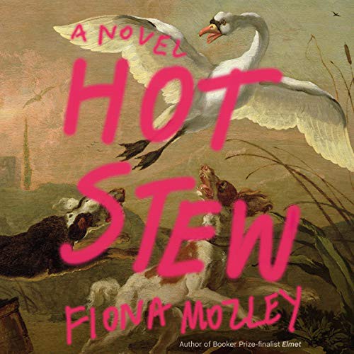 Fiona Mozley: Hot Stew (AudiobookFormat, 2021, Blackstone Pub)