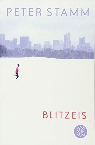 Peter Stamm: Blitzeis (Paperback, 2011, Fischer Taschenbuch Verlag GmbH)