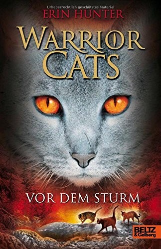 Vor dem Sturm (Hardcover, German language, 2017, Beltz Gmbh, Julius)