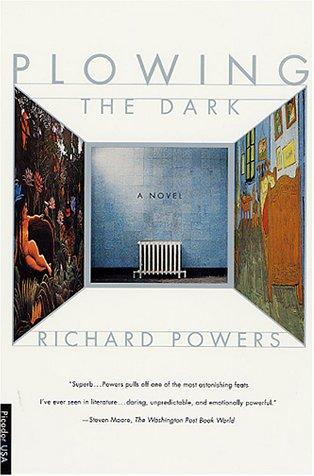 Plowing the Dark (Paperback, 2001, Picador)