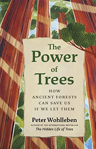 Jane Billinghurst, Peter Wohlleben: Promise of Trees (2023, Greystone Books Ltd., Greystone Books)