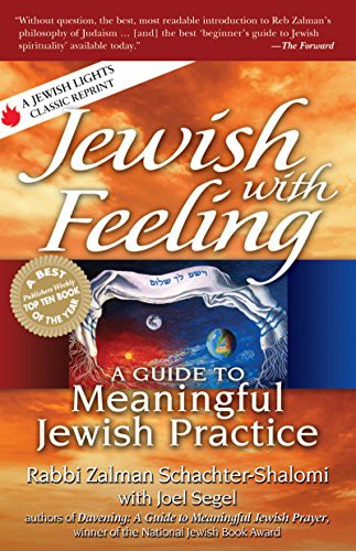 Joel Segel, Rabbi Zalman Schachter-Shalomi: Jewish with Feeling (Hardcover, Jewish Lights)