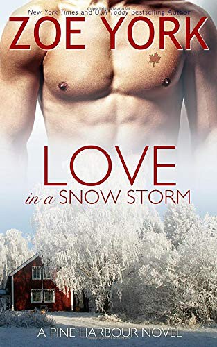 Love in a Snow Storm (Paperback, 2014, ZoYo Press)