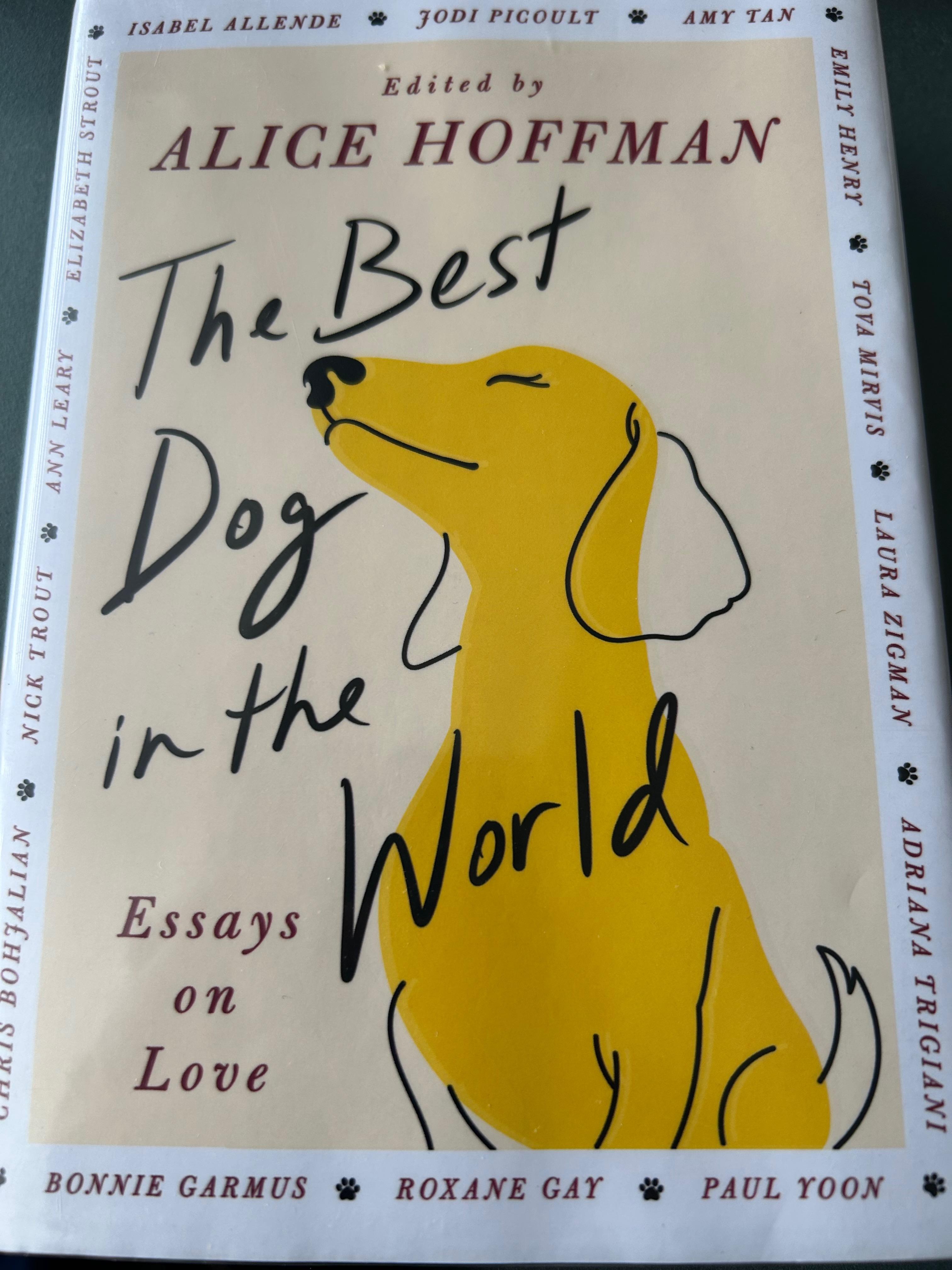 Alice Hoffman: The Best Dog in the World (Hardcover, Simon & Schuster)