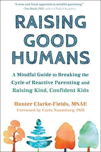 Raising Good Humans (Paperback, 2019, New Harbinger Publications)