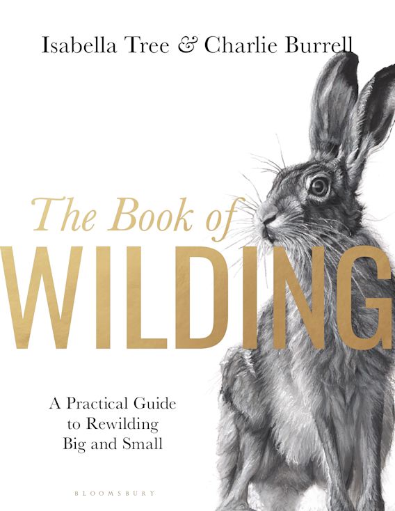 The Book of Wilding (EBook, 2023, Bloomsbury Publishing)