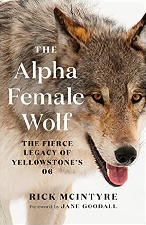 Alpha Female Wolf (2022, Greystone Books Ltd.)